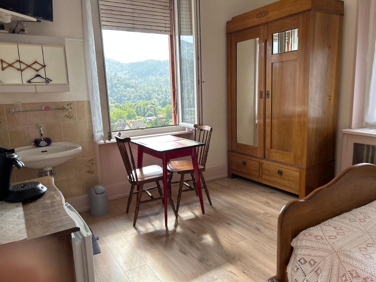 Chambre Arnica Lit 140 Wifi Sdb Partagee Saint-Amarin Esterno foto